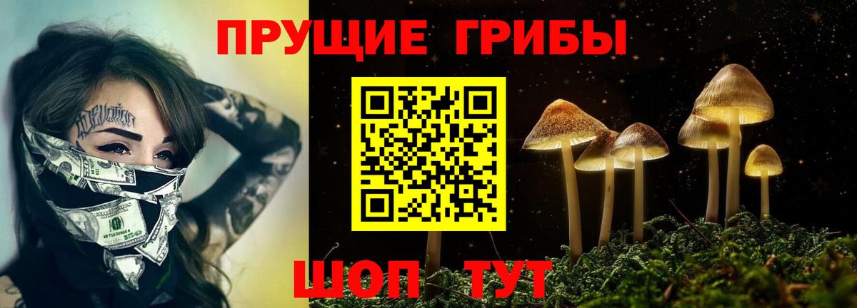 Галлюциногенные грибы прущие грибы  Лысьва  Псилоцибиновые грибы Magic Shrooms 